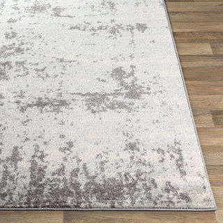 Livabliss Sunderland SUN-2318 Area Rug