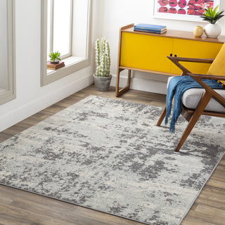 Surya Sunderland SUN-2318 Area Rug Room Scene Feature