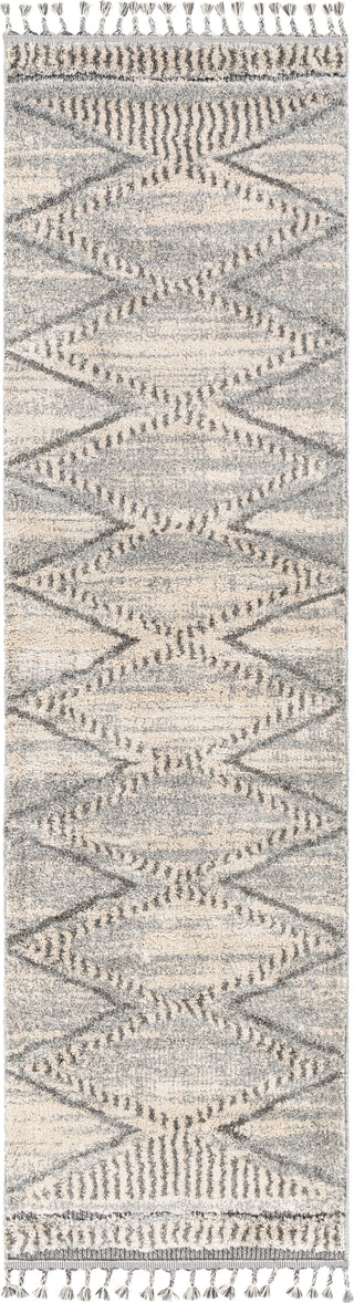 Surya Sousse SUS-2300 Area Rug Main