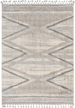 Surya Sousse SUS-2300 Area Rug main image