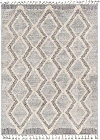 Surya Sousse SUS-2301 Area Rug main image