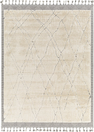 Surya Sousse SUS-2303 Area Rug main image