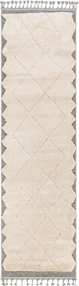 Surya Sousse SUS-2304 Area Rug Main