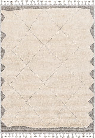 Surya Sousse SUS-2304 Area Rug main image