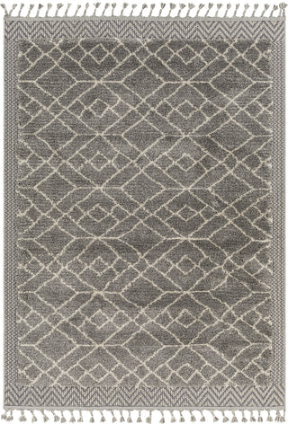 Surya Sousse SUS-2306 Area Rug main image