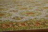 Momeni Suzani Hook SZI-3 Ivory Area Rug Closeup