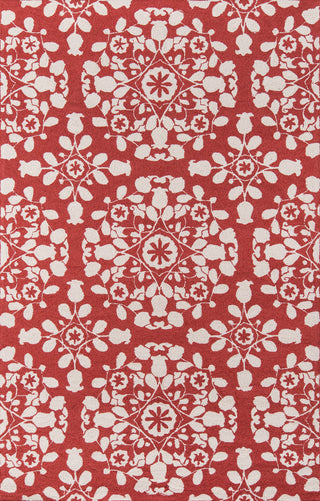 Momeni Suzani Hook SZI-4 Red Area Rug main image