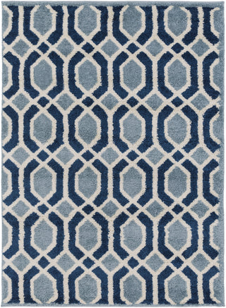 Surya Swift SWT-4004 Area Rug 5'3'' x 7'3''