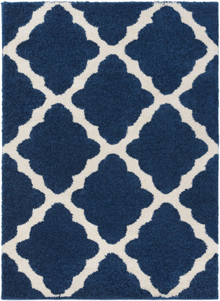 Surya Swift SWT-4014 Area Rug 5'3'' x 7'3''