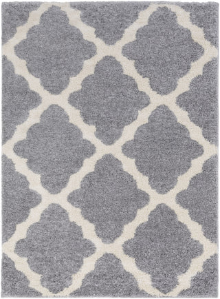 Surya Swift SWT-4016 Area Rug 5'3'' x 7'3''