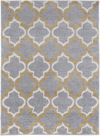 Surya Swift SWT-4017 Area Rug 5'3'' x 7'3''