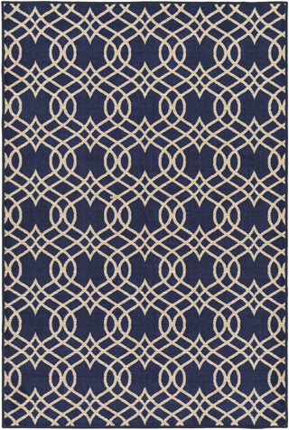 Surya Sonya SYA-1000 Blue/Brown Area Rug main image