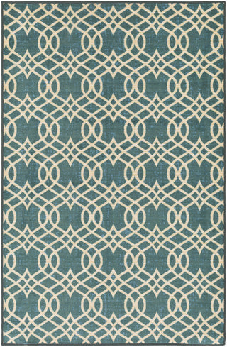 Surya Sonya SYA-1001 Blue/Brown Area Rug main image