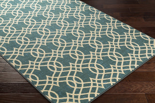 Surya Sonya SYA-1001 Blue/Brown Area Rug Closeup