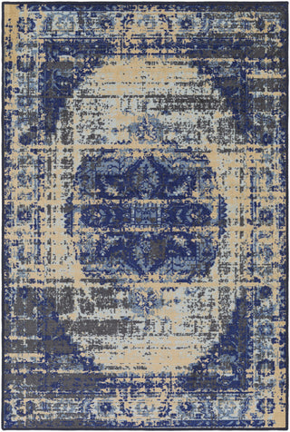 Surya Sonya SYA-1008 Neutral/Blue Area Rug main image