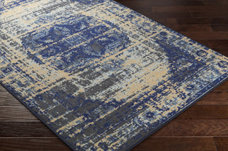 Surya Sonya SYA-1008 Neutral/Blue Area Rug Closeup