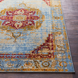 Surya Sonya SYA-1011 Area Rug Detail Image