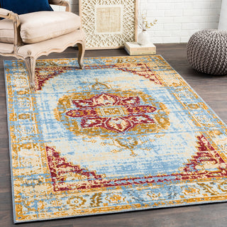 Surya Sonya SYA-1011 Area Rug Room Image Feature