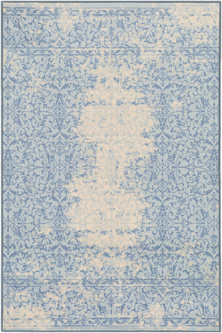 Surya Sonya SYA-1019 Brown/Blue Area Rug main image