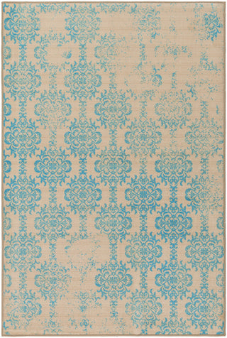 Surya Sonya SYA-1021 Neutral/Blue Area Rug main image