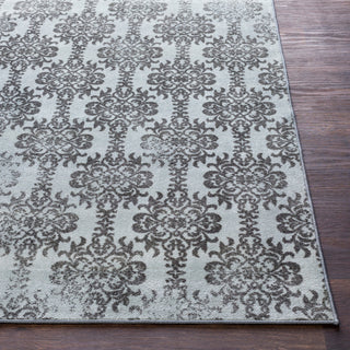 Surya Sonya SYA-1023 Area Rug Detail Image