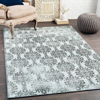 Surya Sonya SYA-1023 Area Rug Room Image Feature