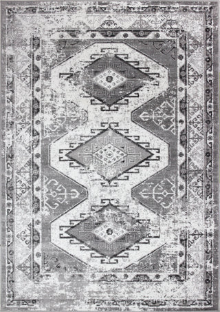 Bashian Torino T143-TOR501 Ivory/Grey Area Rug