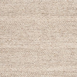 Surya Tahoe TAH-3700 Ivory Hand Woven Area Rug Sample Swatch