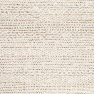 Surya Tahoe TAH-3703 Area Rug 18" Sample Swatch