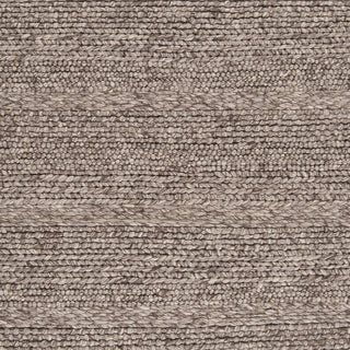 Surya Tahoe TAH-3705 Taupe Hand Woven Area Rug Sample Swatch