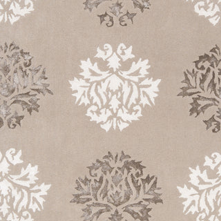 Surya Tamira TAM-1041 Taupe Area Rug Sample Swatch