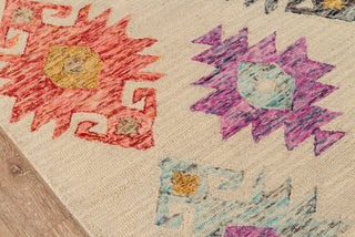 Momeni Tangier TAN31 Beige Area Rug Close up