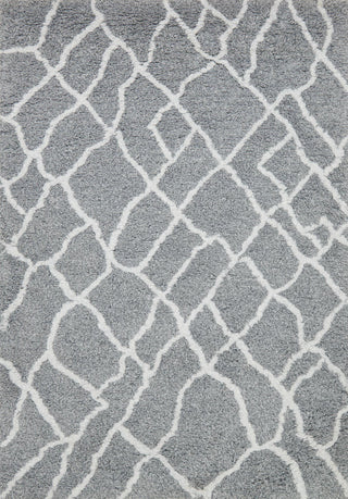 Loloi Tangier Shag TG-01 Slate/Mist Area Rug main image