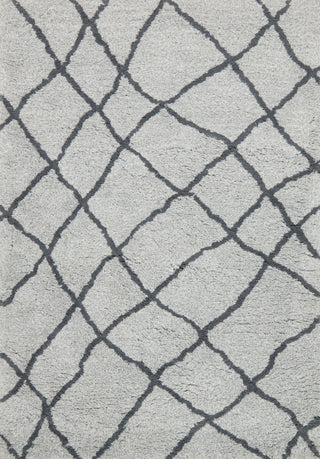 Loloi Tangier Shag TG-03 Mist/Grey Area Rug main image