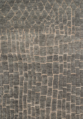 Loloi Tanzania TN-03 Slate Area Rug main image