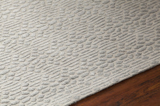 Chandra Tasha TAS-37301 Grey Area Rug Detail