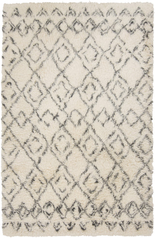 Surya Tasman TAS-4500 Ivory Area Rug 5' x 8'