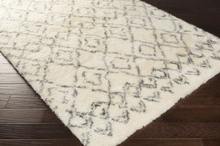Surya Tasman TAS-4500 Area Rug