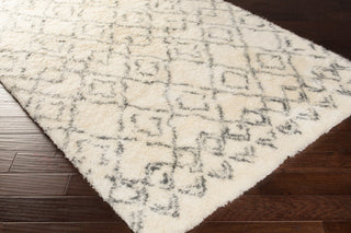 Surya Tasman TAS-4500 Area Rug