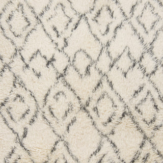 Surya Tasman TAS-4500 Ivory Area Rug Sample Swatch