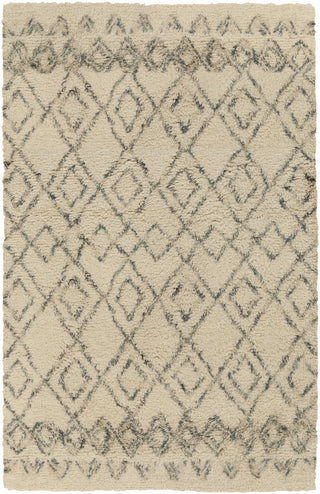 Surya Tasman TAS-4501 Beige Area Rug 5' x 8'