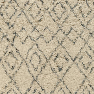 Surya Tasman TAS-4501 Beige Shag Weave Area Rug Sample Swatch