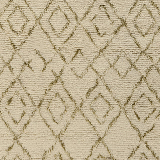 Surya Tasman TAS-4502 Light Gray Shag Weave Area Rug Sample Swatch