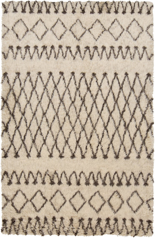 Surya Tasman TAS-4505 Ivory Area Rug 5' x 8'