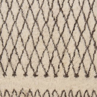 Surya Tasman TAS-4505 Ivory Shag Weave Area Rug Sample Swatch