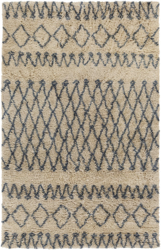 Surya Tasman TAS-4507 Beige Area Rug 5' x 8'