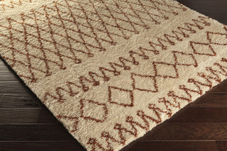 Surya Tasman TAS-4508 Beige Shag Weave Area Rug 5x8 Corner