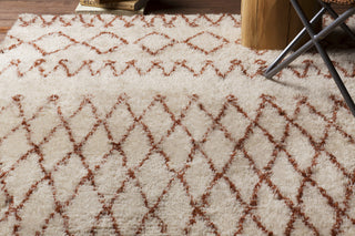 Surya Tasman TAS-4508 Beige Shag Weave Area Rug 