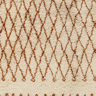 Surya Tasman TAS-4508 Beige Shag Weave Area Rug Sample Swatch