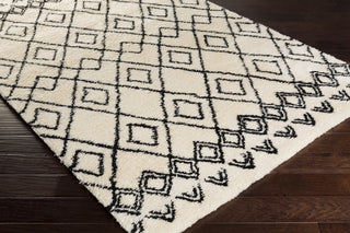 Surya Tasman TAS-4510 Area Rug 5x8 Corner